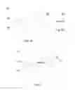 Fig. 03 - COMBINING A DIGITAL IMAGE WITH A VIRTUAL ENTITY
