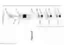 Fig. 07 - Mobile security system and method
