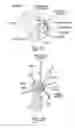Fig. 12 - Concussion rehabilitation device and method