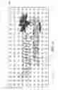Fig. 18 - Decorative detectable warning panel having improved grip