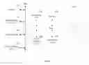 Fig. 07 - Method and apparatus for gesture interaction with a photo-active painted surface