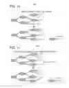 Fig. 09 - System and method of automatic speech recognition using on-the-fly word lattice generation with word histories