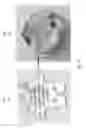 Fig. 21 - Mass spectrometry by detecting positively and negatively charged particles