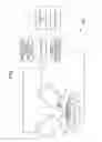 Fig. 02 - MASS MICROSCOPE APPARATUS