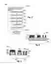 Fig. 05 - BARC-assisted process for planar recessing or removing of variable-height layers