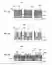 Fig. 10 - Fin structure formation by selective etching