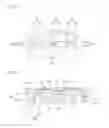 Fig. 19 - Light emitting lamp