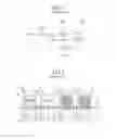 Fig. 02 - Organic light emitting diode display device including overlapping color filters