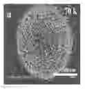 Fig. 01 - Method for forming dendritic silver with periodic structure as light-trapping layer