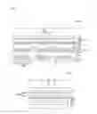 Fig. 03 - Flexible organic light-emitting display device and method for manufacturing the same