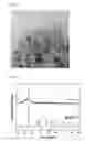 Fig. 03 - Method for preparing metal oxide nanoparticle/graphene composite using supercritical fluid and metal oxide nanoparticle/graphene composite prepared by the same