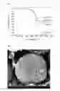 Fig. 04 - Method for preparing metal oxide nanoparticle/graphene composite using supercritical fluid and metal oxide nanoparticle/graphene composite prepared by the same