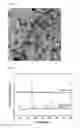 Fig. 06 - Method for preparing metal oxide nanoparticle/graphene composite using supercritical fluid and metal oxide nanoparticle/graphene composite prepared by the same