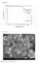 Fig. 11 - Method for preparing metal oxide nanoparticle/graphene composite using supercritical fluid and metal oxide nanoparticle/graphene composite prepared by the same