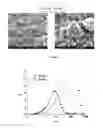 Fig. 10 - Cathode material for lithium-ion rechargeable batteries