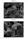 Fig. 12 - Cathode material for lithium-ion rechargeable batteries
