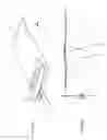 Fig. 05 - Antenna and method for steering antenna beam direction for wifi applications