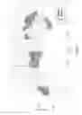 Fig. 11 - Antenna with shaped reflector(s), reconfigurable in orbit