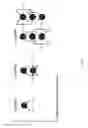 Fig. 29 - MODULAR ACTIVE ANTENNA STRUCTURES AND ARRANGEMENTS