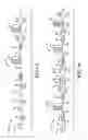 Fig. 04 - Pump recycling integrated amplifier