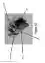 Fig. 45 - Portable power supply