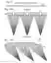 Fig. 08 - Solar concentrator with asymmetric tracking-integrated optics