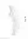 Fig. 37 - Housing for encasing a mobile computing device