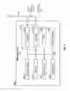 Fig. 06 - Per stream and per antenna cyclic shift delay in uplink multi-user MIMO