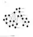 Fig. 02 - Mobile ad-hoc network with satellite node