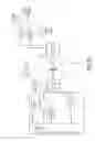 Fig. 06 - Upstream interference eliminating transmission of digital baseband signal in an optical network