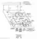 Fig. 10 - Simultaneous queue random early detection dropping and global random early detection dropping system