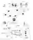 Fig. 02 - Method and apparatus for social network communication over a media network