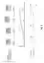 Fig. 04 - Non-linear data charging