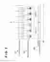 Fig. 03 - Reproducing apparatus and reproducing method