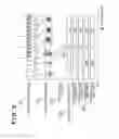 Fig. 06 - Reproducing apparatus and reproducing method