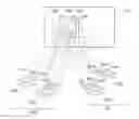 Fig. 01 - Method and device for projecting a 3-D viewable image