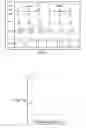 Fig. 06 - Quantization matrix compression in video coding