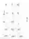 Fig. 24 - PALETTE CODING FOR SCREEN CONTENT CODING