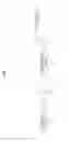Fig. 02 - Reproduction device, reproduction method, and recording medium