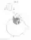 Fig. 14 - Earphone device