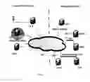 Fig. 02 - Roaming Cellular Transmission System