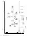Fig. 14 - Methods and tools for persistent spectrum analysis of an operating radio frequency band