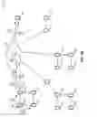 Fig. 07 - Utility-based cross layering