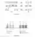 Fig. 03 - Scheduling Requests in Small Cell Networks