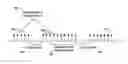 Fig. 01 - Managing sounding reference signals in a wireless device