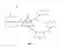 Fig. 02 - Wireless mesh network auto-forming in a multi-tenant environment