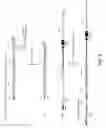 Fig. 04 - Non-human animals with modified immunoglobulin heavy chain sequences