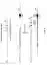 Fig. 05 - Non-human animals with modified immunoglobulin heavy chain sequences