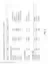 Fig. 06 - Non-human animals with modified immunoglobulin heavy chain sequences