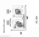 Fig. 105 - Non-human animals with modified immunoglobulin heavy chain sequences